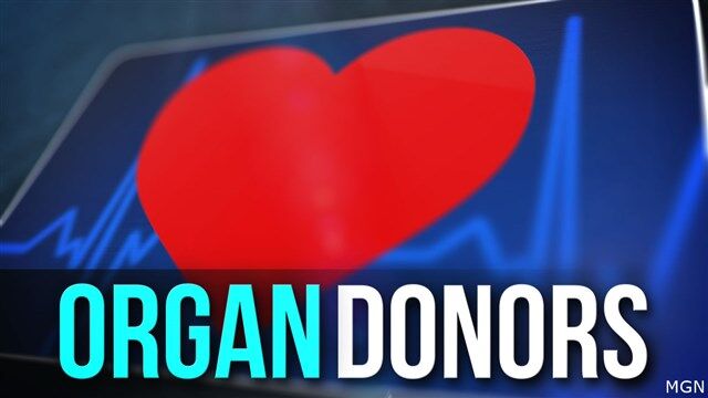 Organ Donors